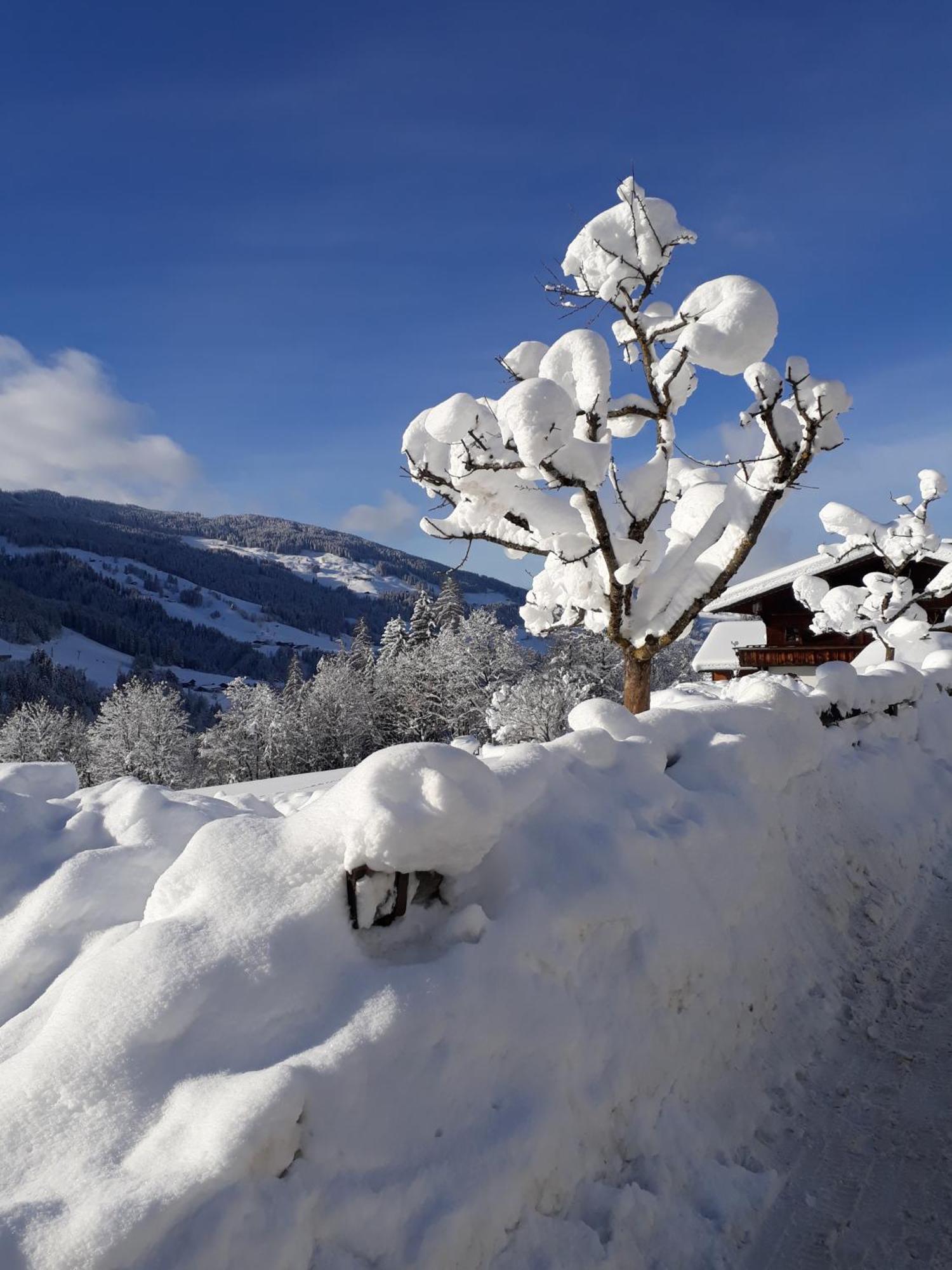Haus Gmahblick Ferienwonungen Hotel Alpbach Exterior foto
